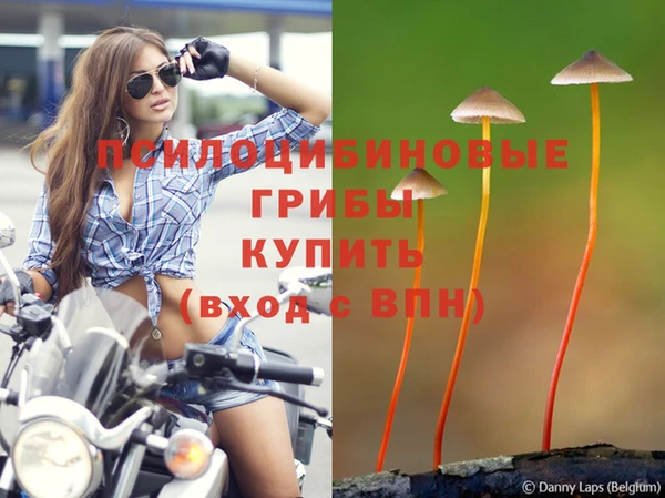 мдпв Абдулино
